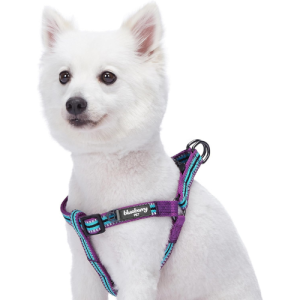 Blueberry Pet 5 Colors Step-in 3M Reflective Multi-Colored Stripe Padded Dog Harness