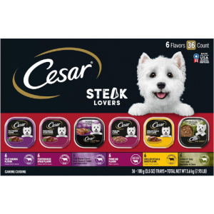CESAR Adult Wet Dog Food Classic Loaf in Sauce Steak Lovers Variety Pack with Real Meat