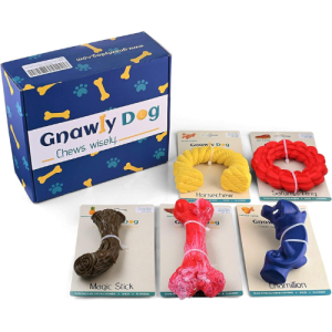 Chew Toys for Aggressive Chewers