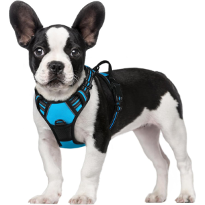 rabbitgoo Dog Harness, No-Pull Pet Harness with 2 Leash Clips